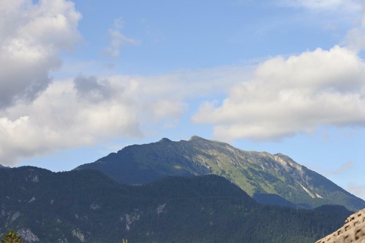 Apartma Vrh Lesce  Buitenkant foto