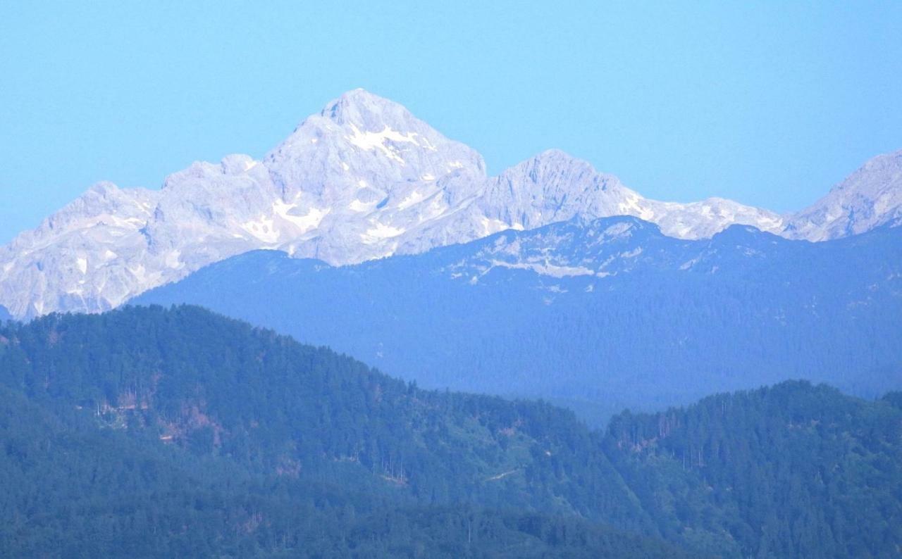 Apartma Vrh Lesce  Buitenkant foto